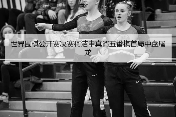 shi-jie-wei-qi-gong-kai-sai-jue-sai-ke-jie-shen-zhen-xu-wu-fan-qi-shou-ju-zhong-pan-tu-long-2-792.jpg