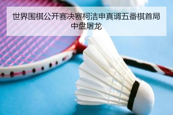 世界围棋公开赛决赛柯洁申真谞五番棋首局中盘屠龙