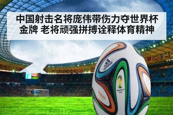 中国射击名将庞伟带伤力夺世界杯金牌 老将顽强拼搏诠释体育精神
