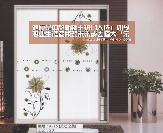 他原是中超新标王热门人选!如今职业生涯遇瓶颈未来或去恒大‘乐鱼电竞直播’(图2) 乐鱼电竞官网